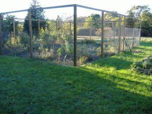 Ten-foot-high fence keeps deer out of Cynthia's garden 
