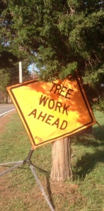 Tree work ahead